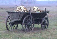 Click for a larger picture