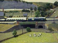 Click for a larger picture