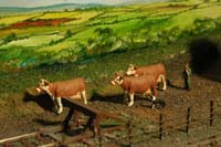 Click for a larger picture