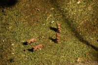 Click for a larger picture